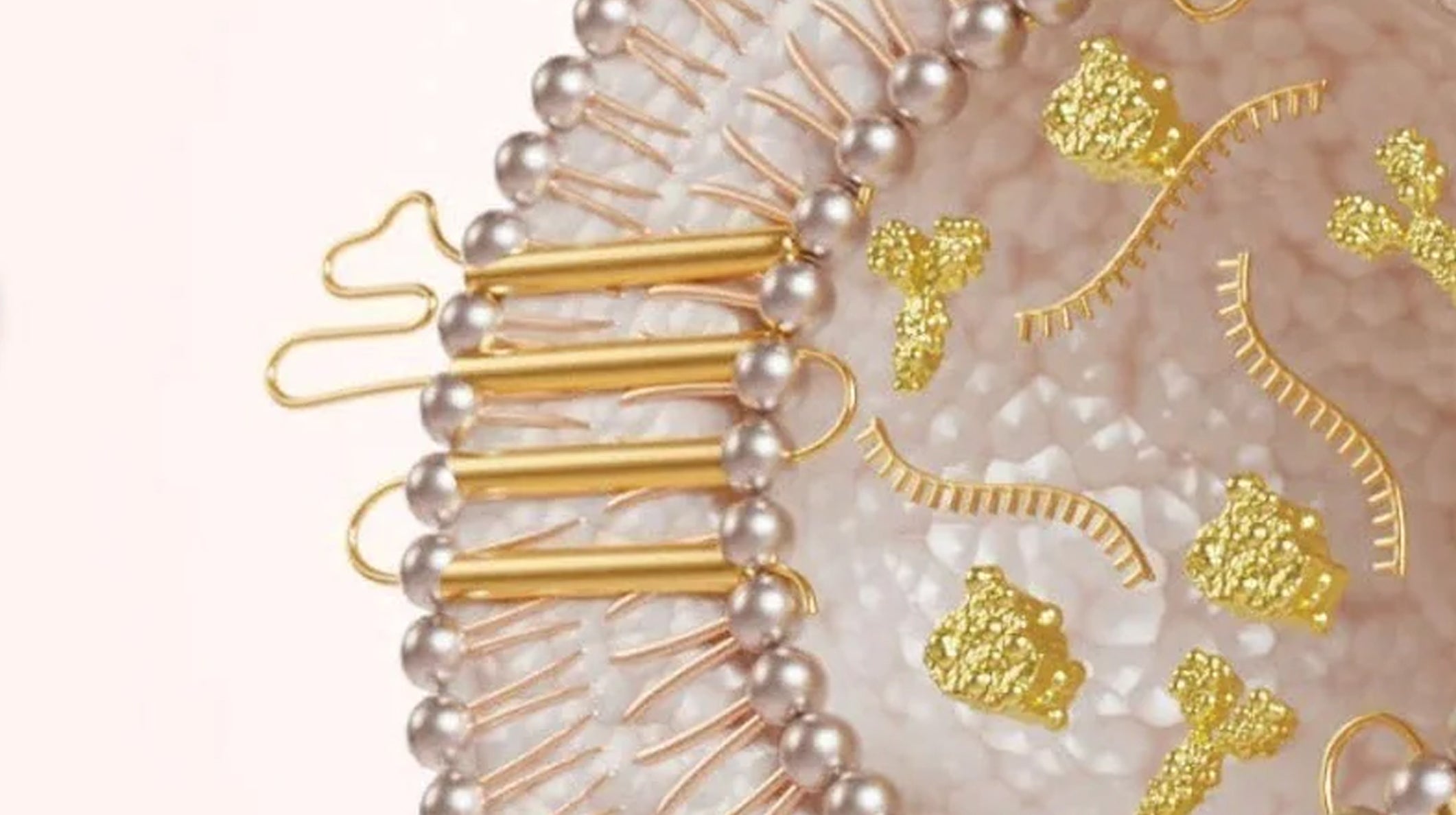 The Ultimate Guide to Phosphoproteins