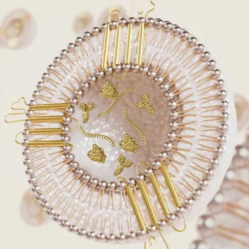 Celebrating the First National Exosome Day: The Science, The Breakthroughs & The Future of Skincare 