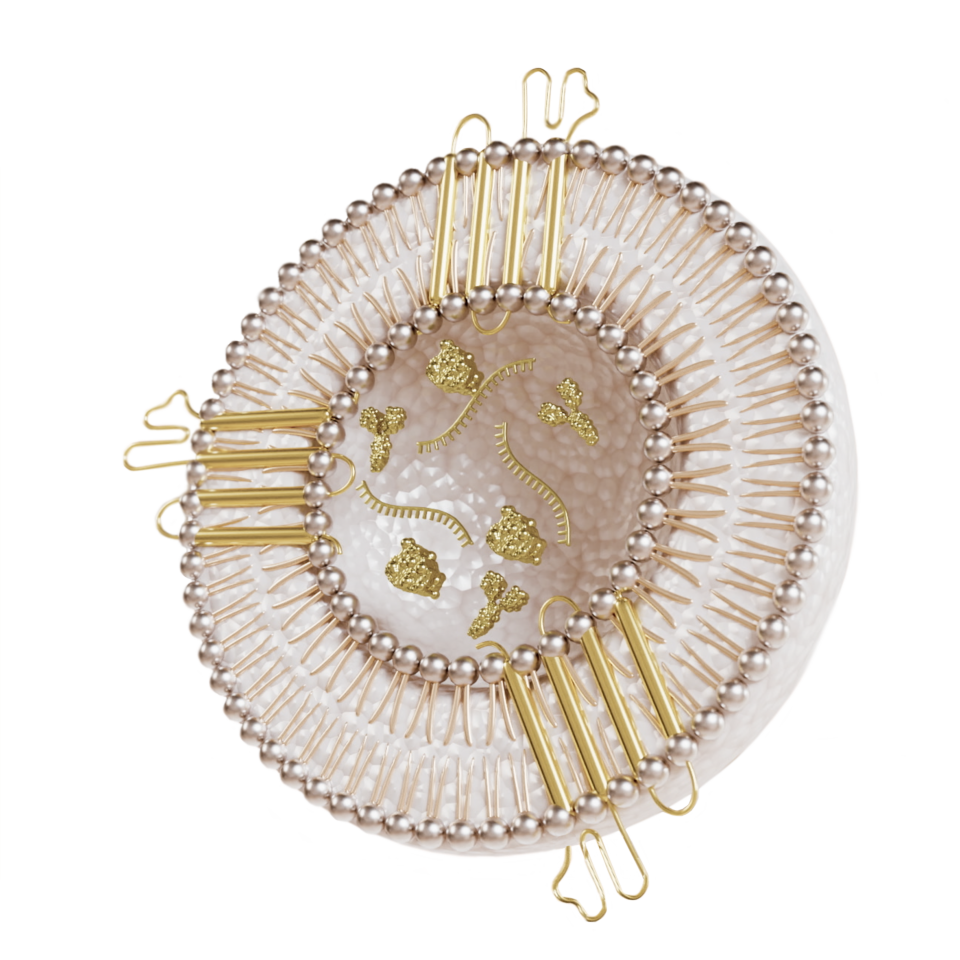 The Ultimate Guide to Phosphoproteins