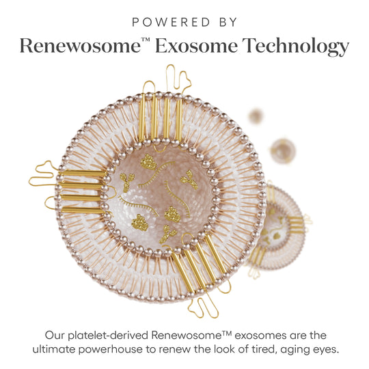 The Bestseller Bundle